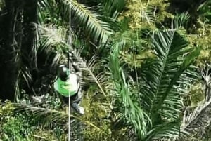 Sansibar: Zipline- und Masingini-Wald-Abenteuerreise