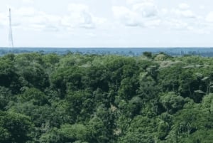 Sansibar: Zipline- und Masingini-Wald-Abenteuerreise