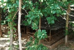 Sansibar: Zipline- und Masingini-Wald-Abenteuerreise