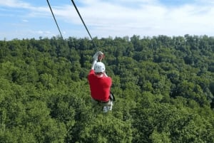 Sansibar: Zipline- und Masingini-Wald-Abenteuerreise