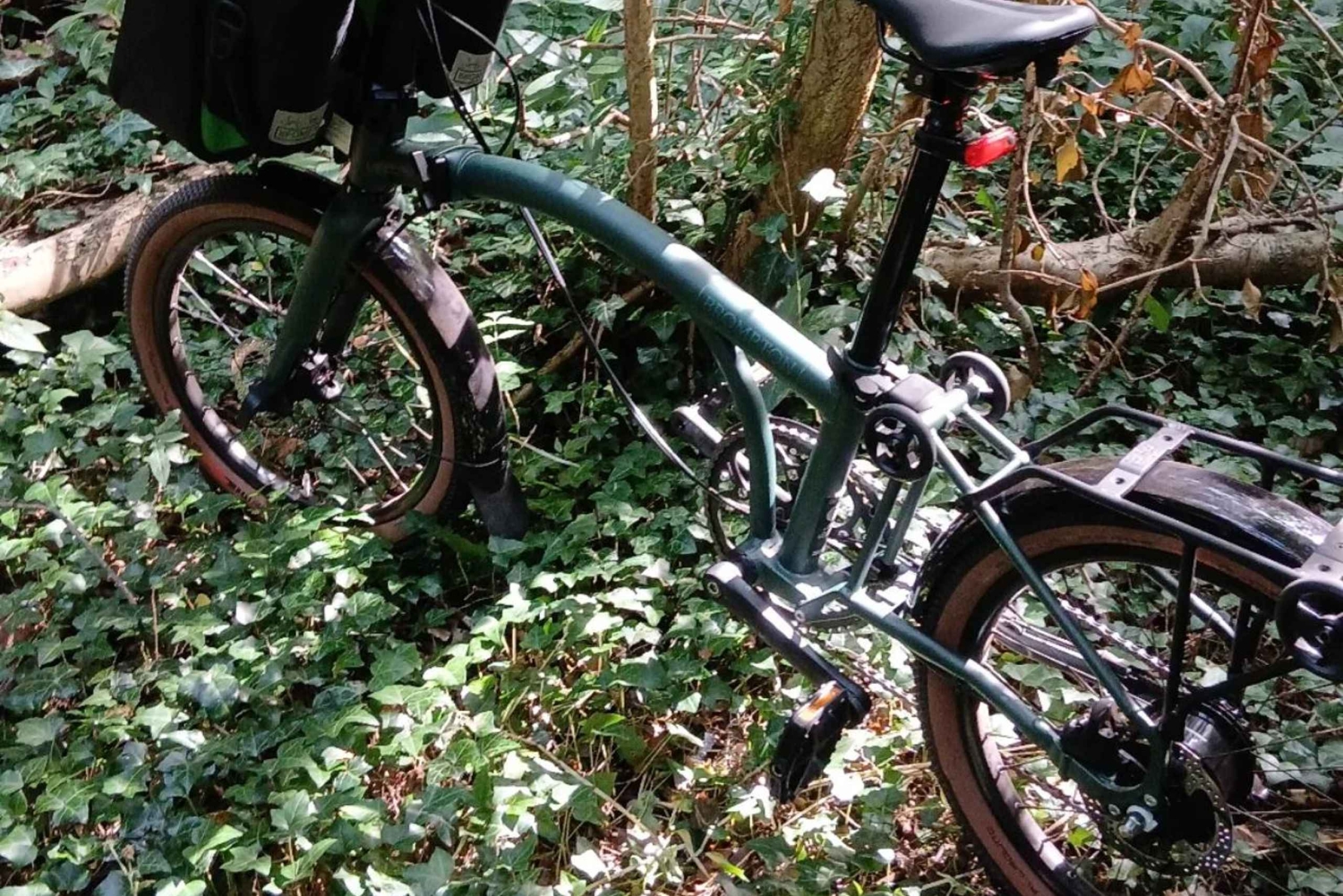 Zanzibar: köysirata- ja luontoelämykset kuljetuksilla