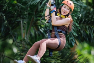 Zanzibar: köysirata- ja luontoelämykset kuljetuksilla