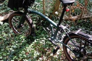 Zanzibar: köysirata- ja luontoelämykset kuljetuksilla