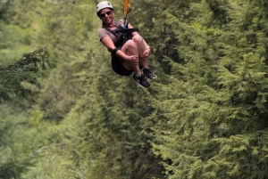 Zanzibar: köysirata- ja luontoelämykset kuljetuksilla