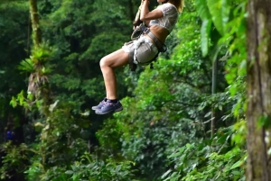 Zanzibar: köysirata- ja luontoelämykset kuljetuksilla