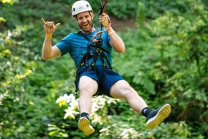 Zanzibar: köysirata- ja luontoelämykset kuljetuksilla