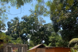 Le joyau caché de Zanzibar : Journée d'aventure sur l'île d'Uzi