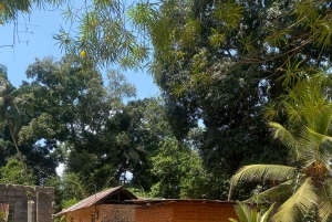 Le joyau caché de Zanzibar : Journée d'aventure sur l'île d'Uzi