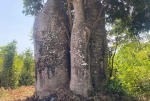 Le joyau caché de Zanzibar : Journée d'aventure sur l'île d'Uzi