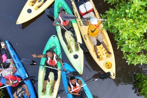 Le joyau caché de Zanzibar : Journée d'aventure sur l'île d'Uzi