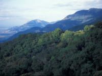 Mountains & Volcanoes