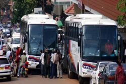 Scandinavia Bus Service