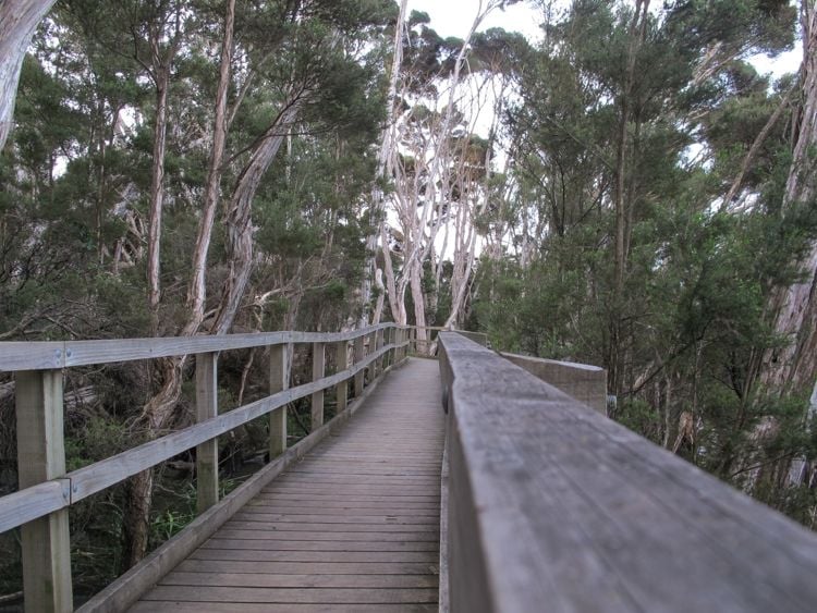 Tailrace Park, Tasmania
