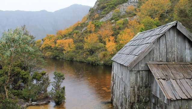 The Turning of the Fagus - Tasmania Only Event 