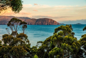 3D Tasmanian Highlights: Hobart, Port Arthur & Bruny Island