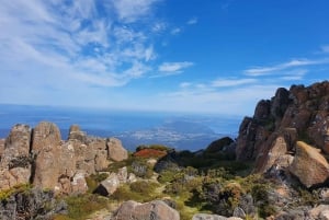 Depuis Hobart : Visite à pied matinale de Mt Wellington