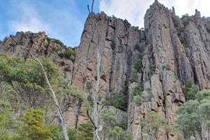 From Hobart: Mt Wellington Arrival and Organ Pipes Walk Tour