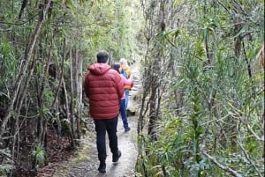 From Hobart: Mt Wellington Arrival and Organ Pipes Walk Tour