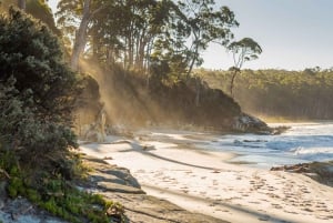 6-daagse Tassie-tourpakket: Iconen van het eiland