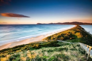 6-daagse Tassie-tourpakket: Iconen van het eiland