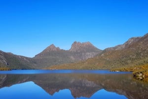 Tour della Tasmania di 9 giorni in cerchio