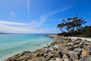 9 Day Tasmania Tour in Circle