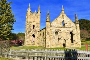 Tour della Tasmania di 9 giorni in cerchio