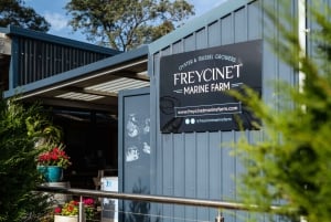 A Day At Wineglass Bay - Departing Launceston