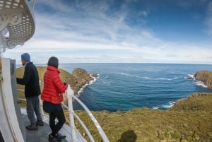 Bruny Island: Full-Day Food, Lighthouse & Sightseeing Tour