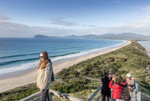 Hobart: Aventura na Ilha Bruny com almoço e passeio ao farol