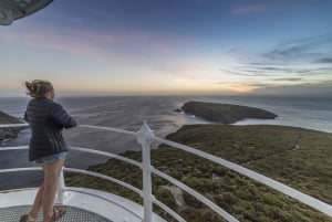 Bruny Island: Full-Day Food, Lighthouse & Sightseeing Tour