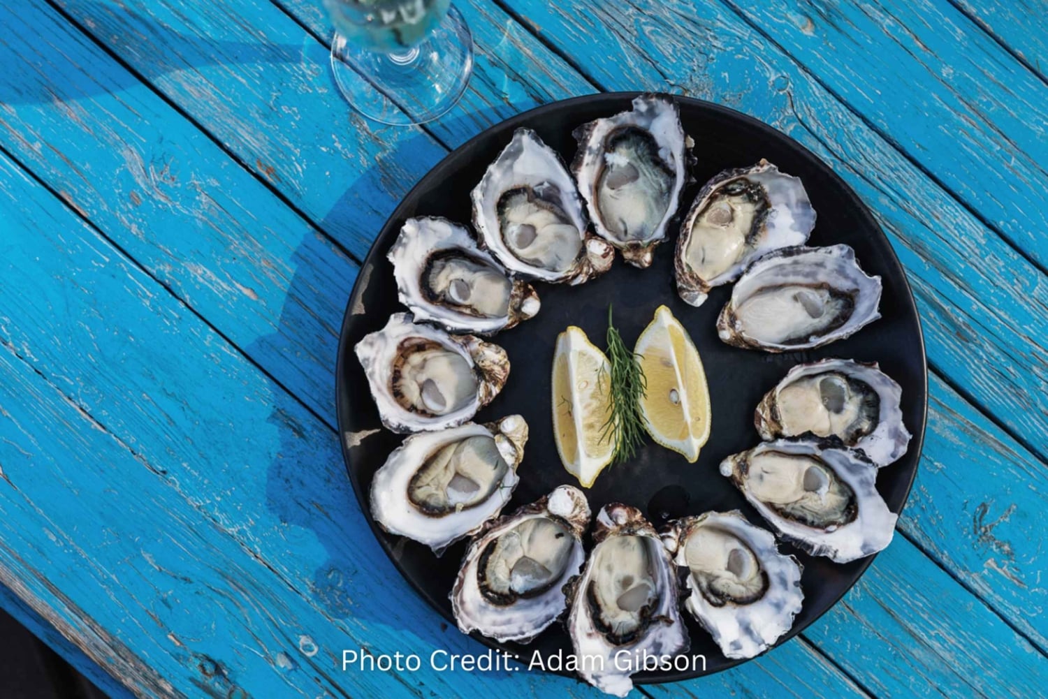 Остров Бруни: обзорная экскурсия с гидом (8 часов, индивидуальная экскурсия)