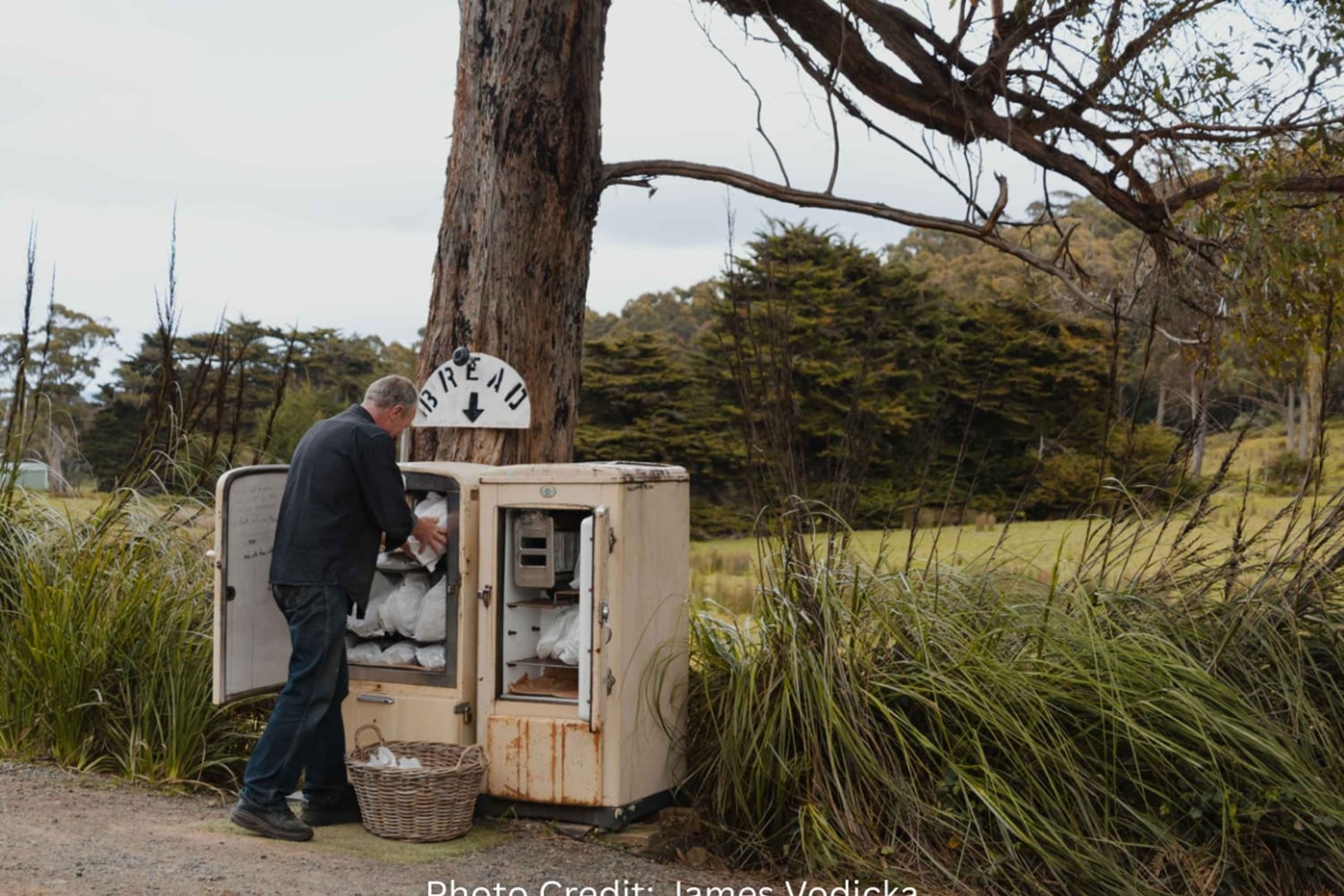 Остров Бруни: обзорная экскурсия с гидом (8 часов, индивидуальная экскурсия)