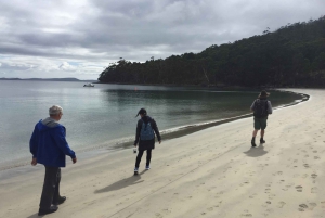 From Hobart: Bruny Island Highlights Day Trip