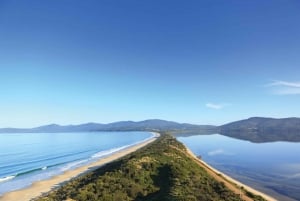 Bruny Island Highlights Day Trip from Hobart