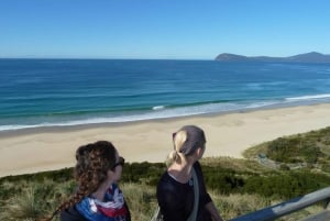 Bruny Island Highlights Day Trip from Hobart