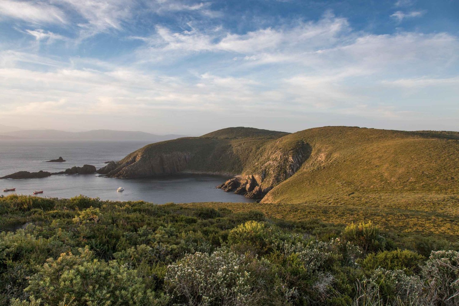 Wycieczka na wyspę Bruny z latarnią morską i 2-daniowym lunchem w winiarni