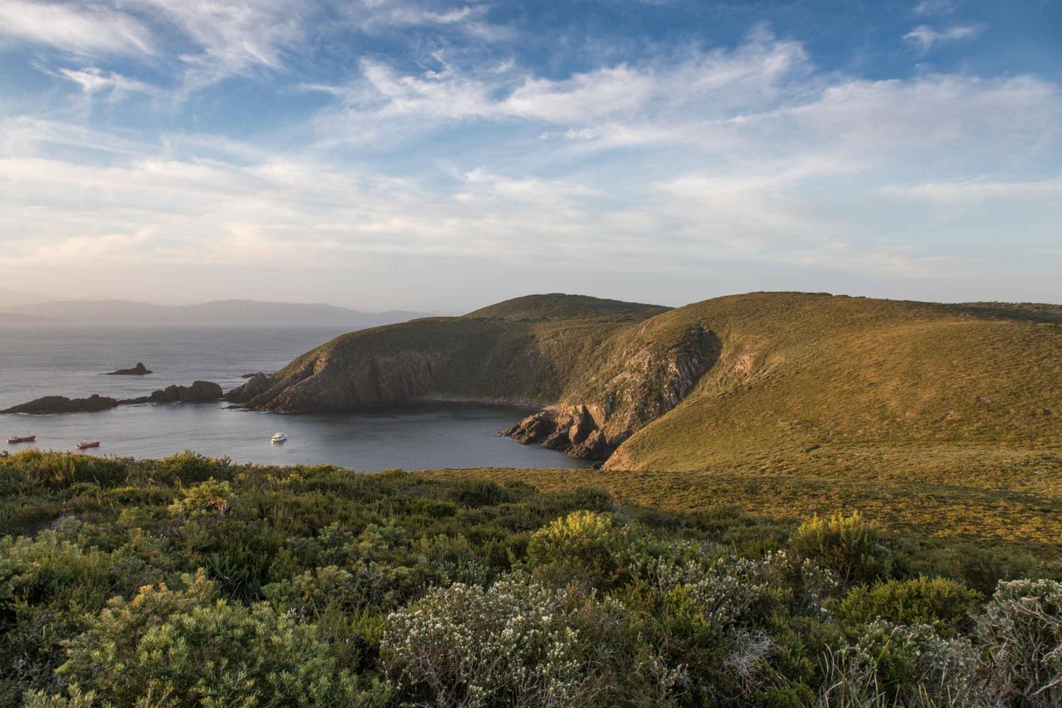 Wycieczka na wyspę Bruny z latarnią morską i 2-daniowym lunchem w winiarni