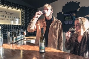 Wycieczka na wyspę Bruny z latarnią morską i 2-daniowym lunchem w winiarni