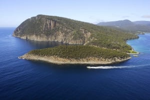 Hobart: Bruny Island Wilderness Coast Eco Cruise with Lunch