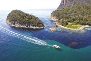 From Hobart: Bruny Island Wilderness Cruise