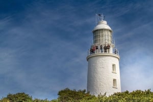 Cape Bruny Lighthouse Tour - Bruny Island