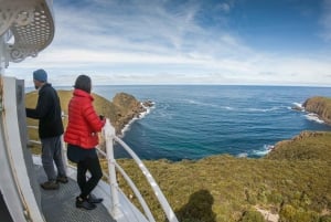 Cape Bruny Lighthouse Tour - Bruny Island