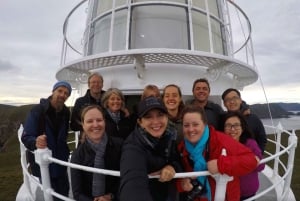 Cape Bruny Lighthouse Tour - Bruny Island