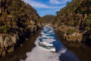 Launceston: Cataract Gorge Adventure Cruise Åben billet