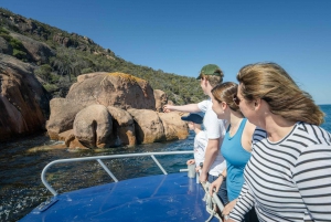 Coles Bay: Freycinet National Park Water Taxi Service