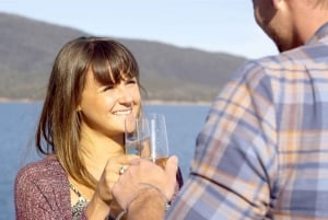 Coles Bay : Croisière pour adultes dans la baie de Wineglass avec déjeuner