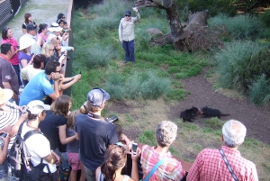 Cradle Mountain: Po zmroku Wycieczka na karmienie diabła tasmańskiego