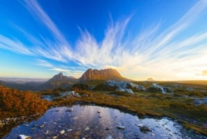 Cradle Mountain: Day Trip from Launceston with Lunch