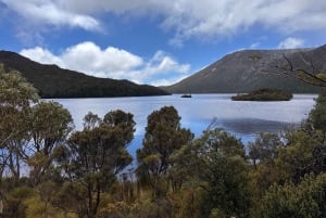 Cradle Mountain: Geführte Tagestour zum Dove Lake mit Mittagessen